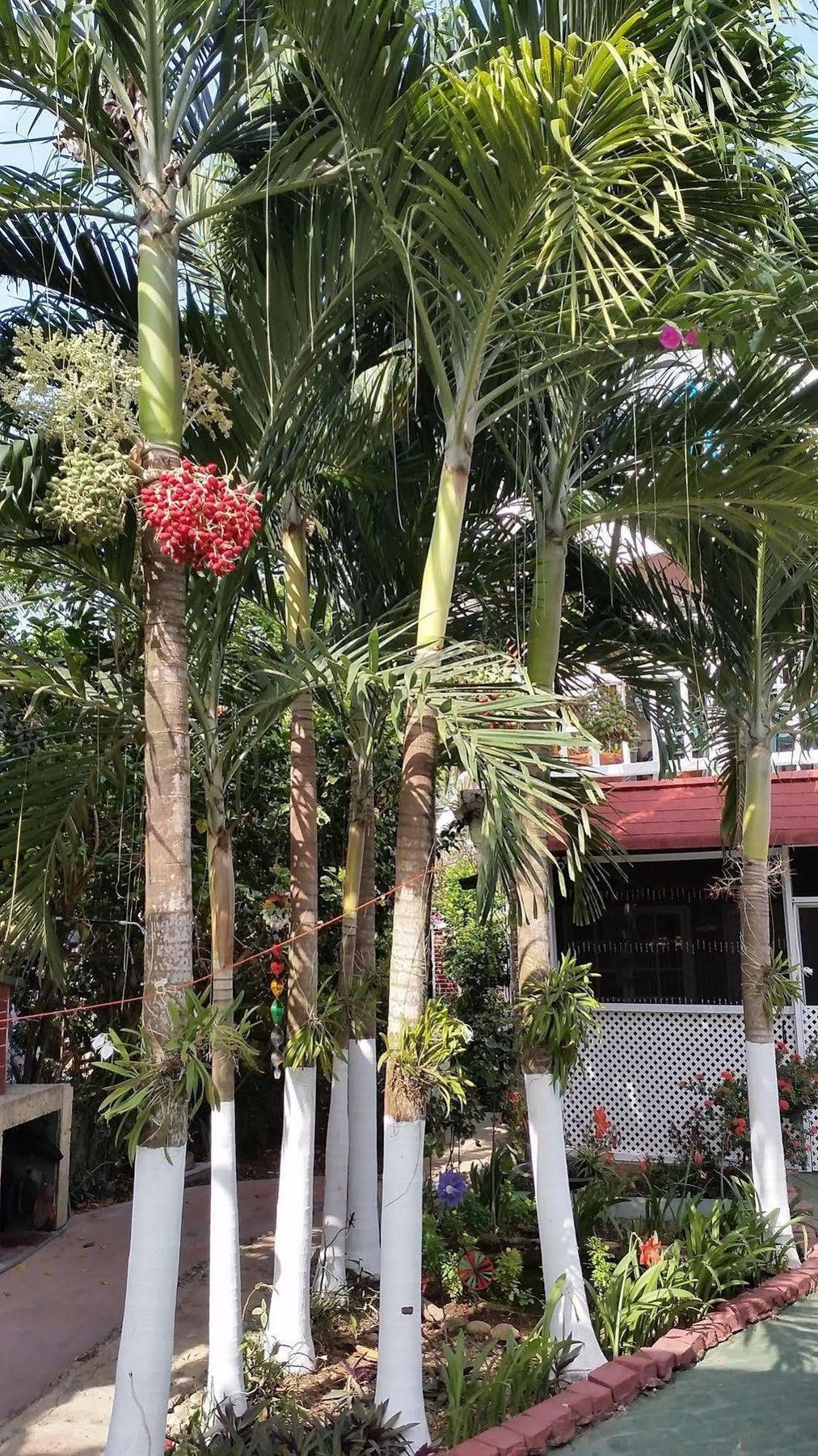 San Andres Ultd Inn Rnt # 30017 Dış mekan fotoğraf